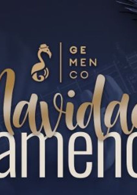 Navidad Flamenca 3.0