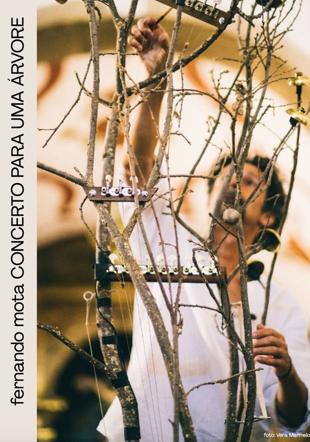 Concierto para un árbol