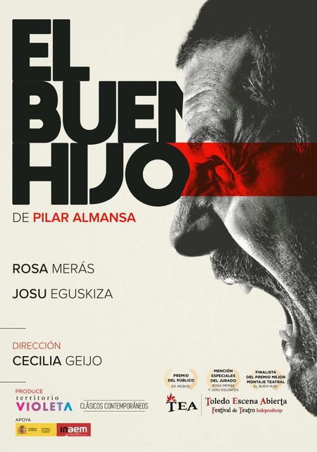 El buen hijo