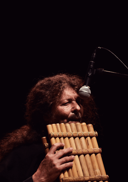 Instrumentos Ancestrales