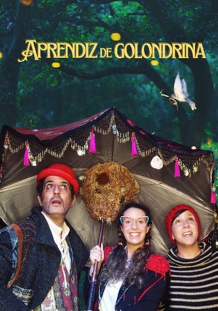 Aprendiz de Golondrina
