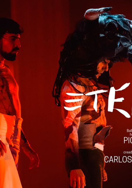 Eterno, ballet flamenco homenaje a Picasso