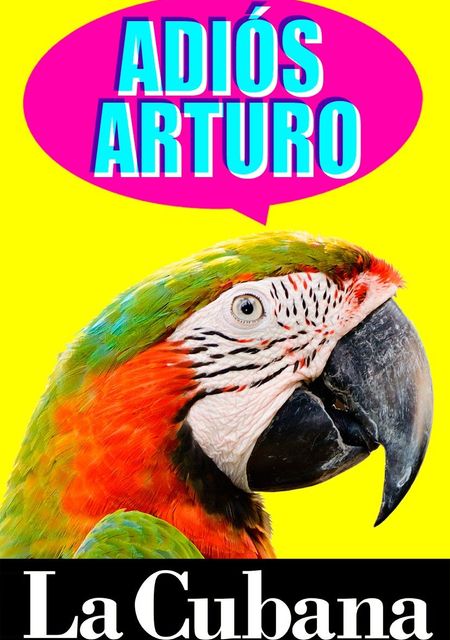 Adiós Arturo