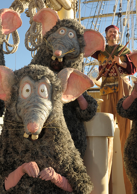 Rats
