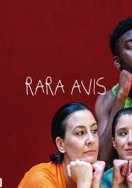 Rara Avis