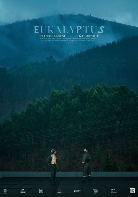 Eukalyptus