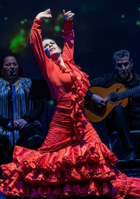 Flamenco A mi manera