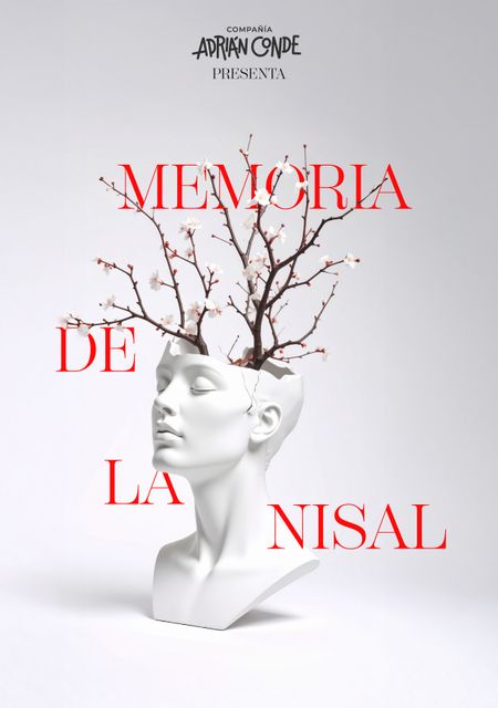 Memoria de la nisal