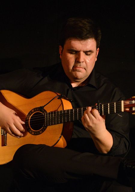 Flamenco vivo