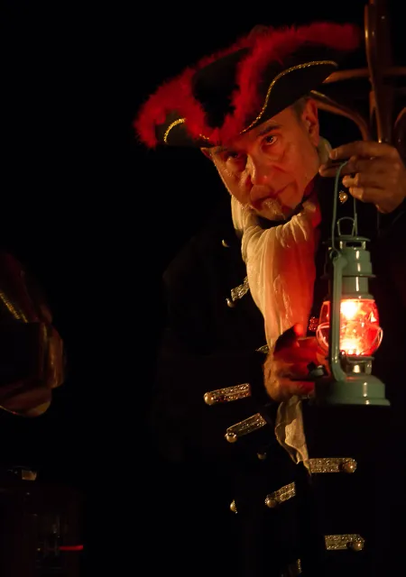 Piratas y otros bichos