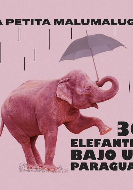 30 elefantes bajo un paraguas