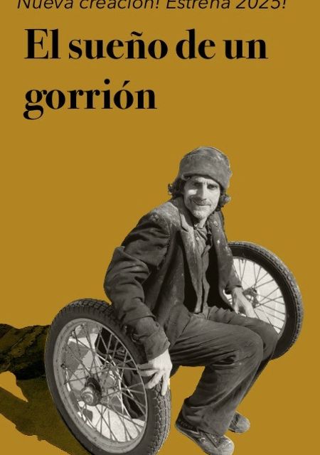 El sueño de un gorrión