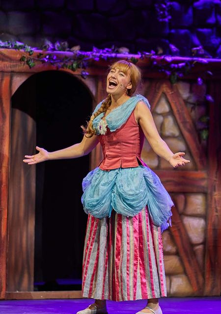 Rapunzel (el musical)