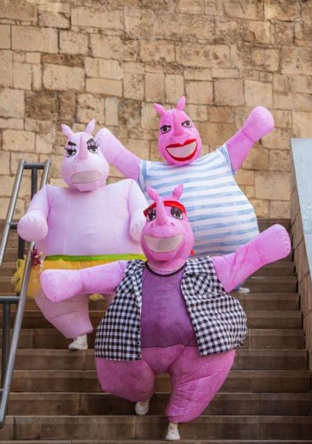 Rhinos