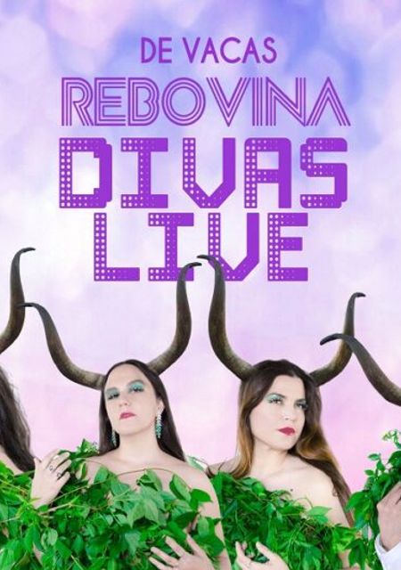 Rebovina Divas Live