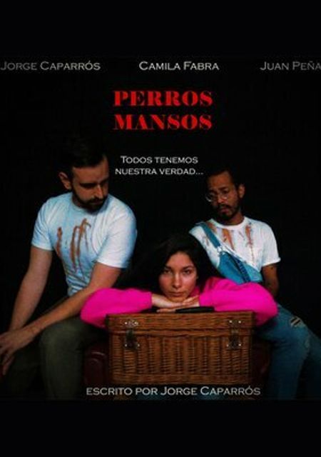 Perros mansos