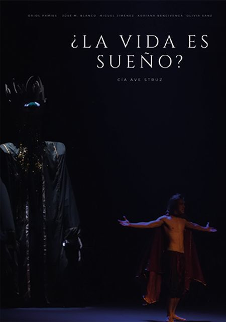 ¿La vida es sueño?
