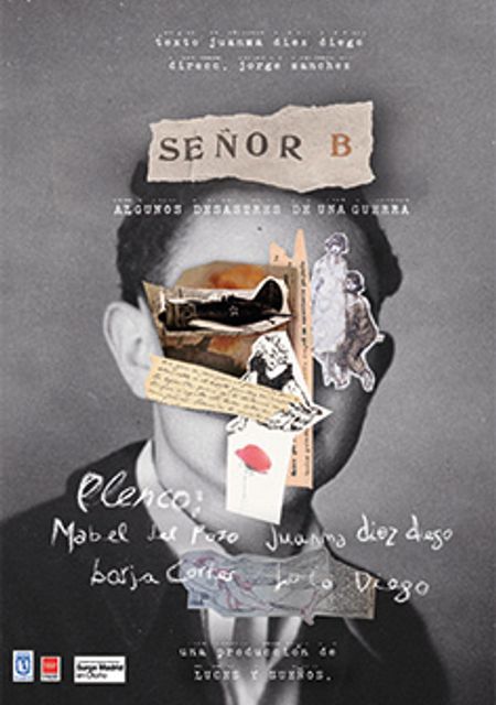 Señor B. Algunos desastres de una guerra