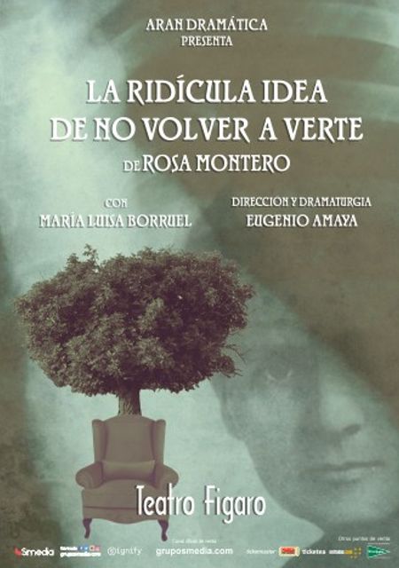 La ridícula idea de no volver a verte