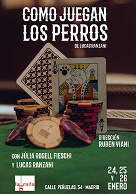 Como juegan los perros