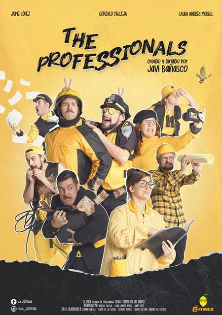 The Professionals