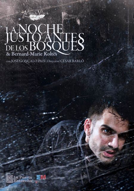 La noche justo antes de los bosques