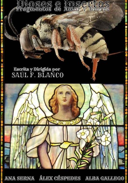 Dioses e insectos