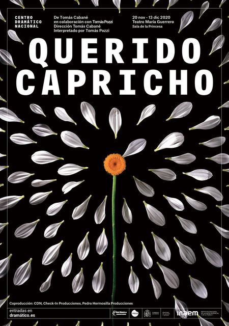 Querido capricho
