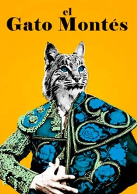 El gato montés