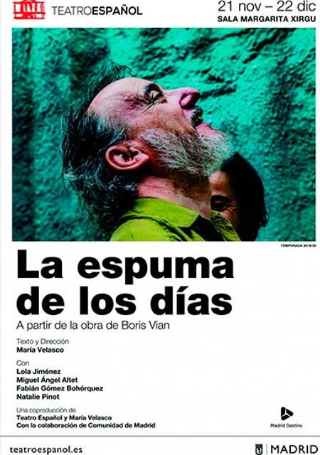 La Espuma de los días