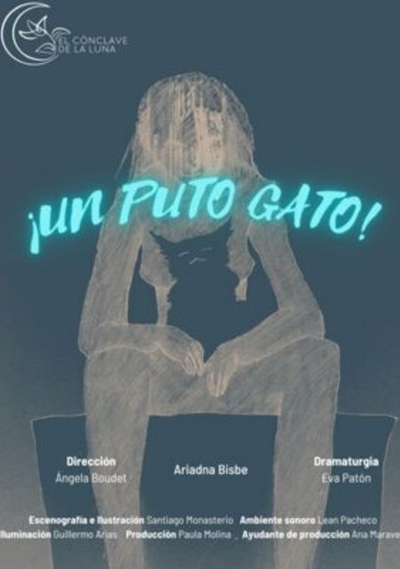 ¡Un puto gato!