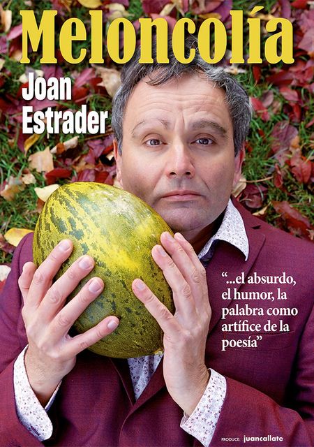 Meloncolía