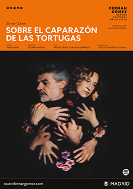 Sobre el caparazón de las tortugas