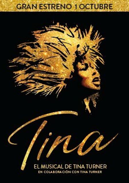 Tina, el musical
