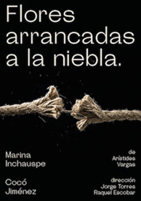 Flores arrancadas a la niebla