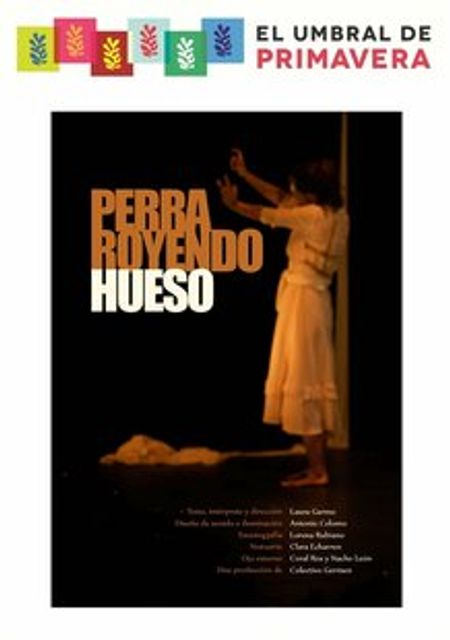 Perra Royendo Hueso