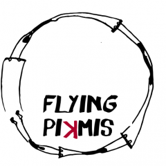 Flying Pikmis