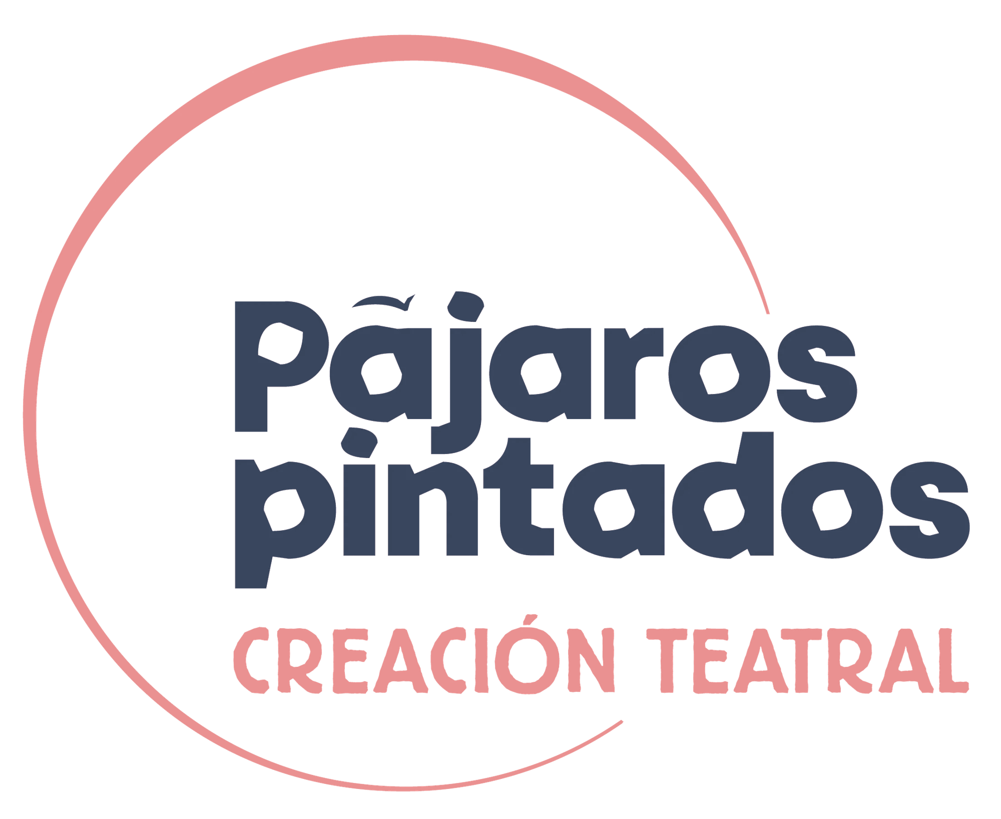 Pájaros Pintados Creación